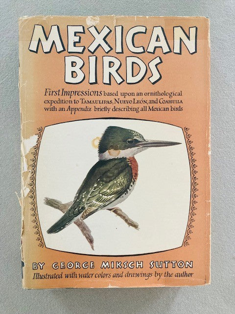 Mexican Birds: First Impressions