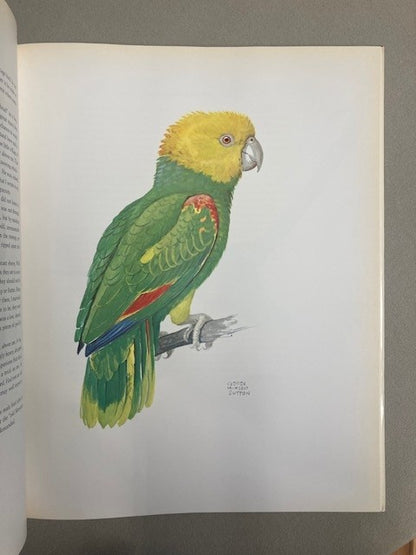 Portraits of Mexican Birds: Fifty Selected Paintings