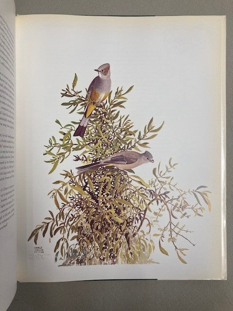 Portraits of Mexican Birds: Fifty Selected Paintings