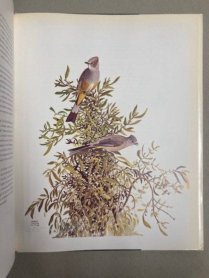 Portraits of Mexican Birds: Fifty Selected Paintings