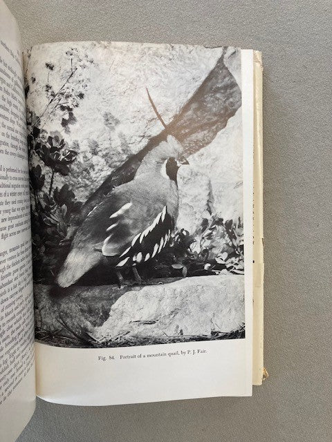 Wildlife of Mexico: The Game Birds and Mammals