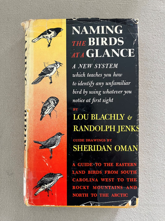 Naming the Birds at a Glance (A New System)