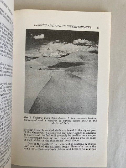 A Naturalist's Death Valley