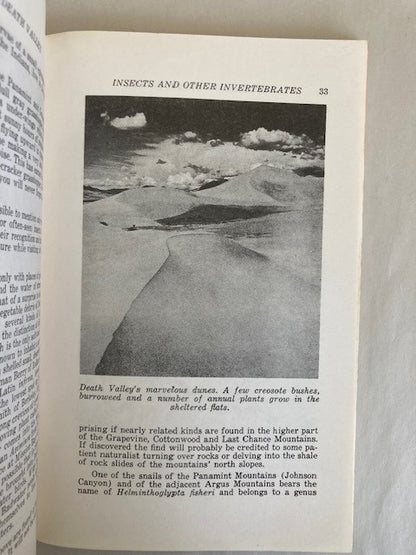 A Naturalist's Death Valley