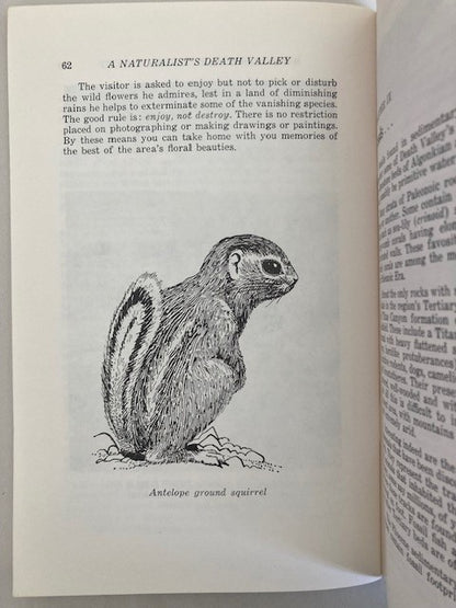 A Naturalist's Death Valley