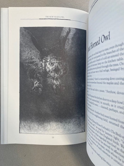 The New Year's Owl: Encounters With Animals, People and the Land They Share