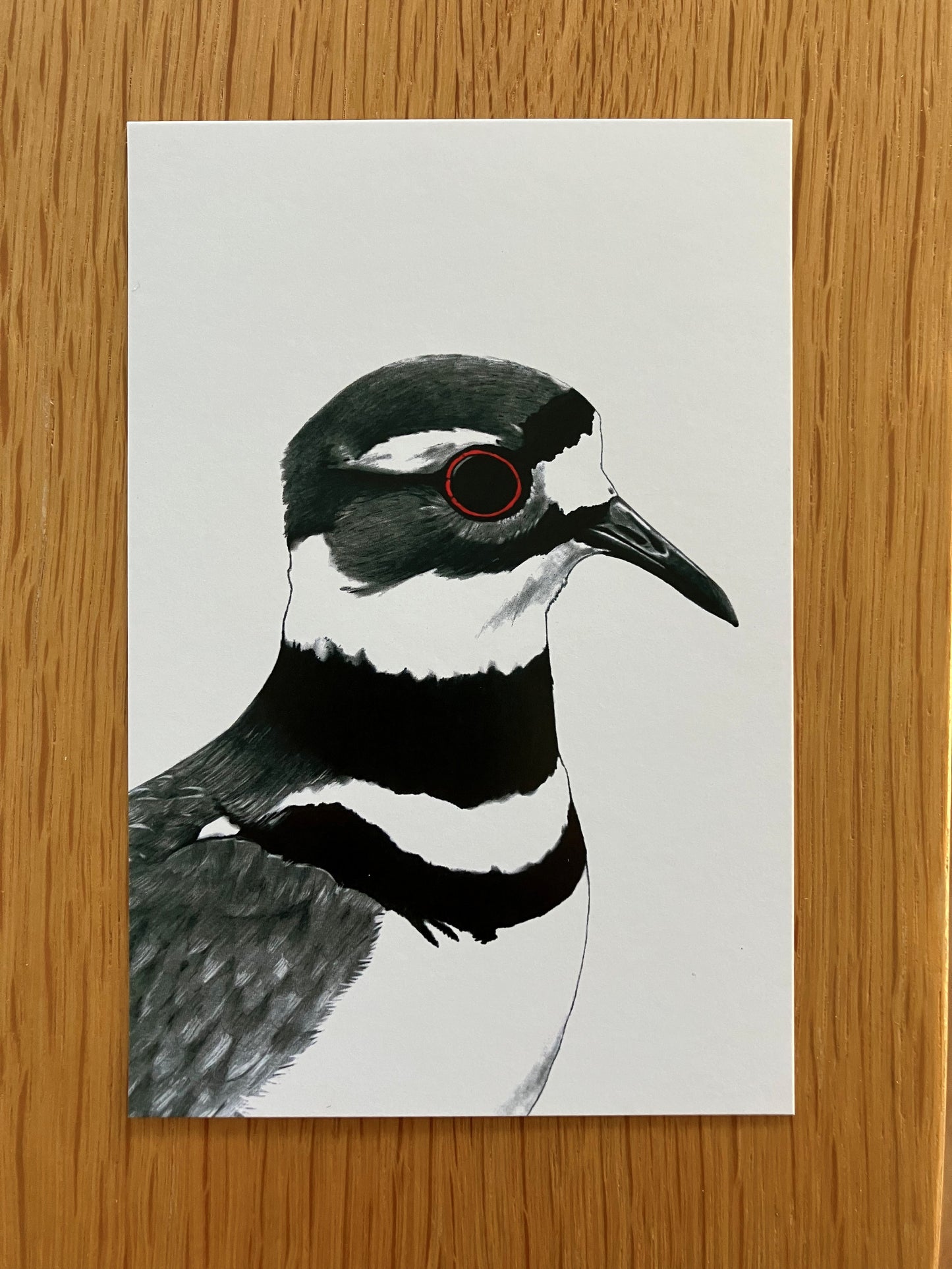 A Dozen Delightful Bird Postcards