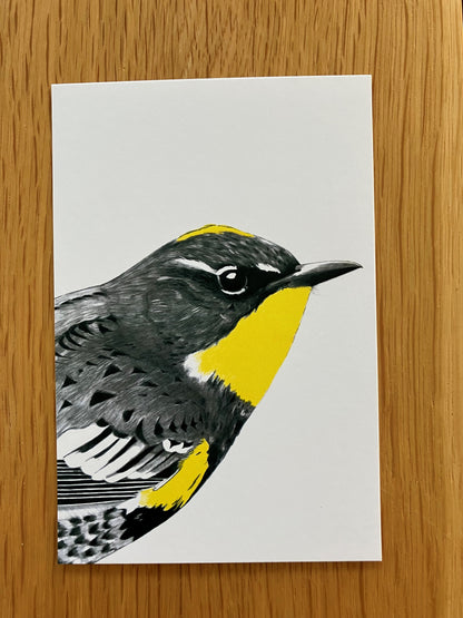 A Dozen Delightful Bird Postcards