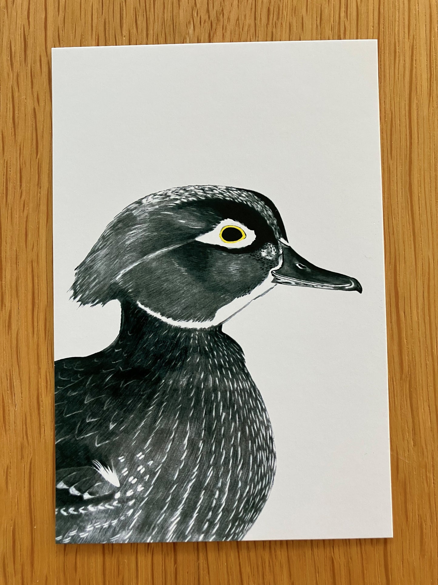 A Dozen Delightful Bird Postcards