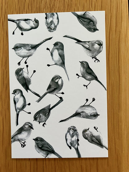 A Dozen Delightful Bird Postcards