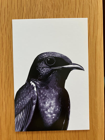 A Dozen Delightful Bird Postcards