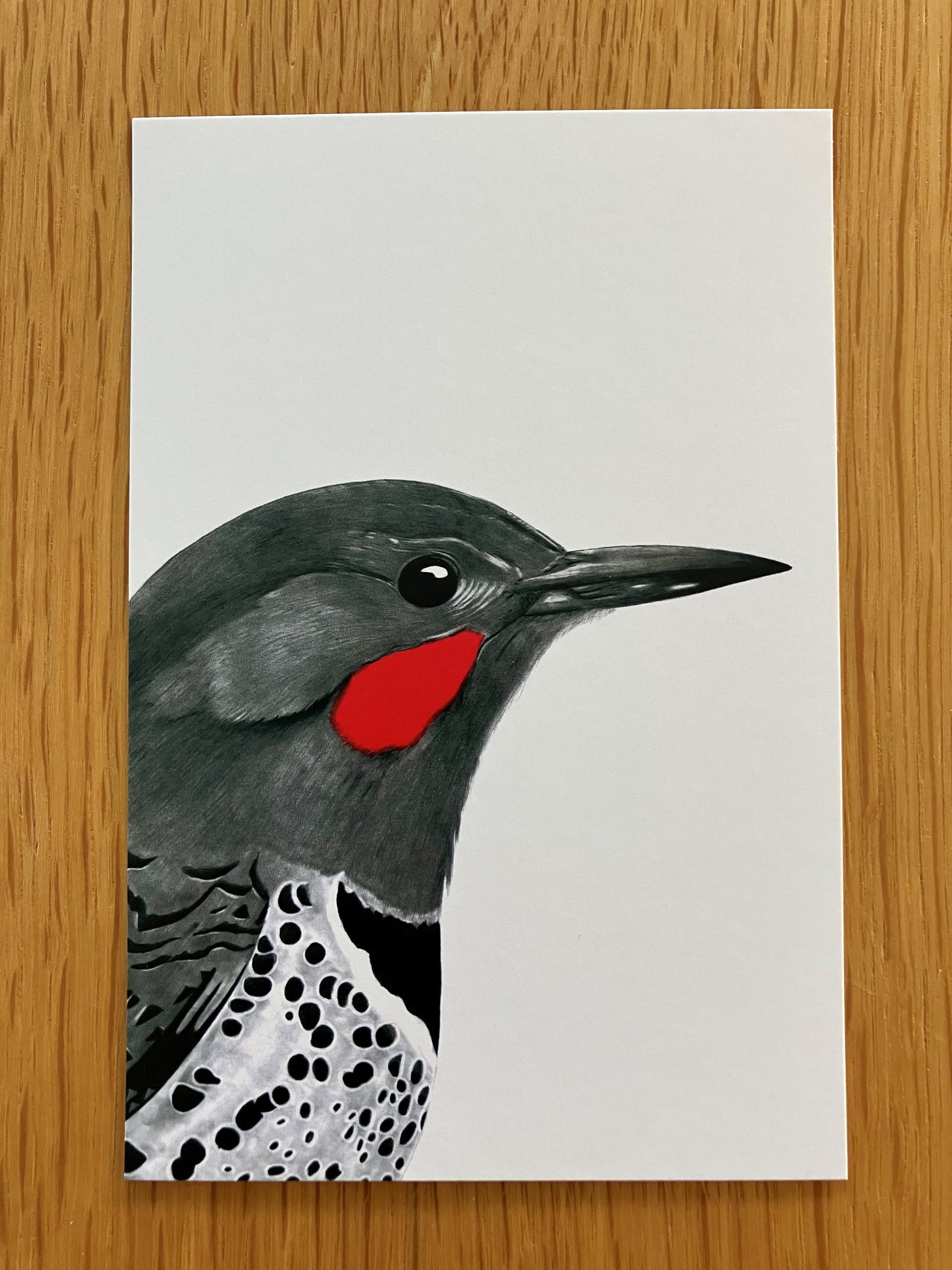 A Dozen Delightful Bird Postcards