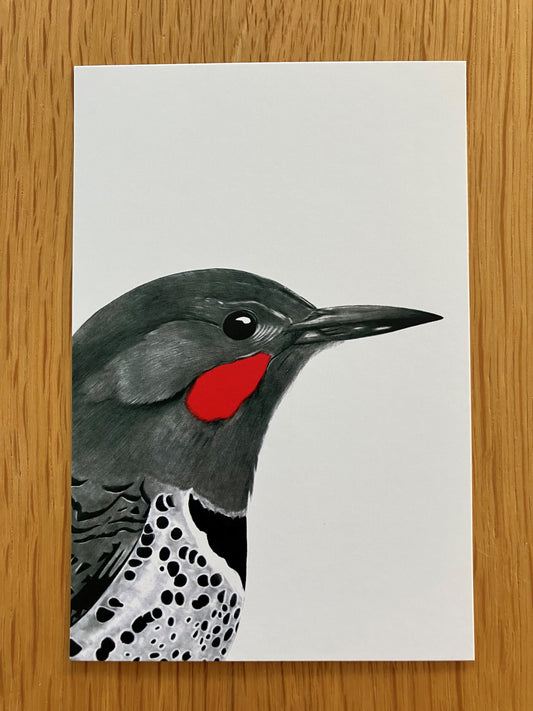 A Dozen Delightful Bird Postcards