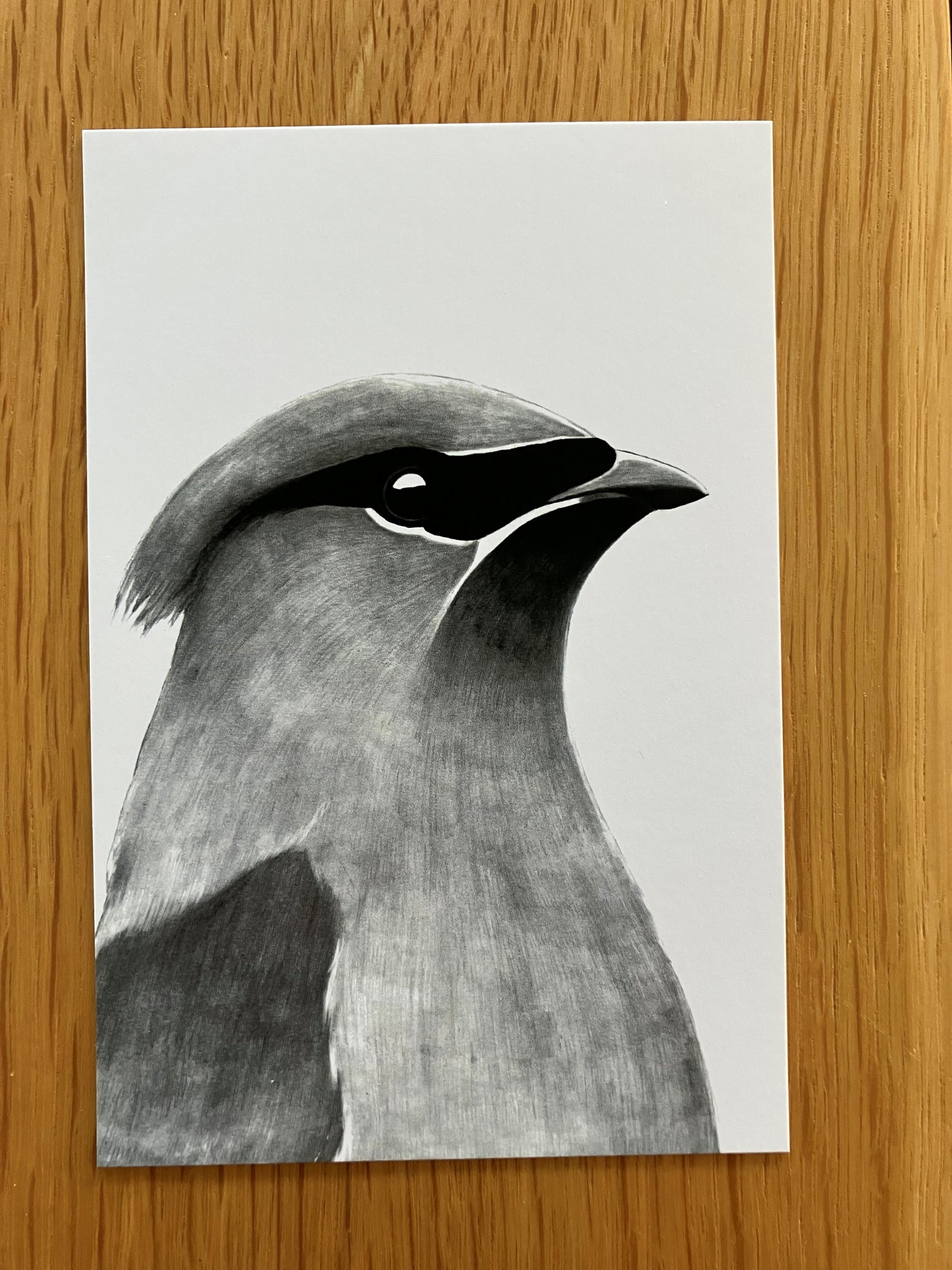 A Dozen Delightful Bird Postcards