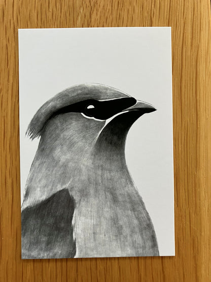 A Dozen Delightful Bird Postcards