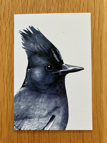 A Dozen Delightful Bird Postcards