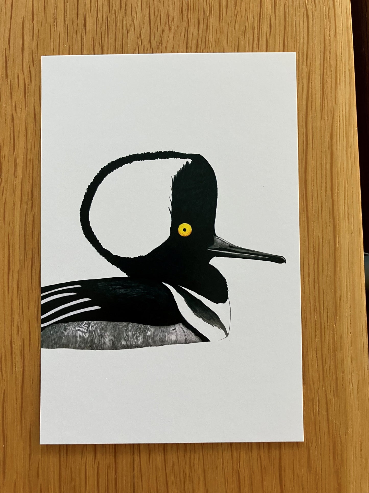 A Dozen Delightful Bird Postcards