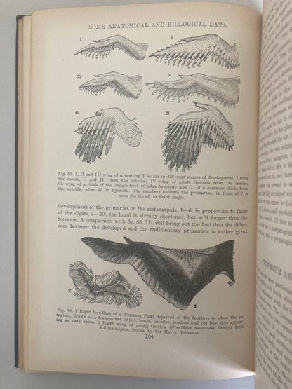 The Origin of Birds