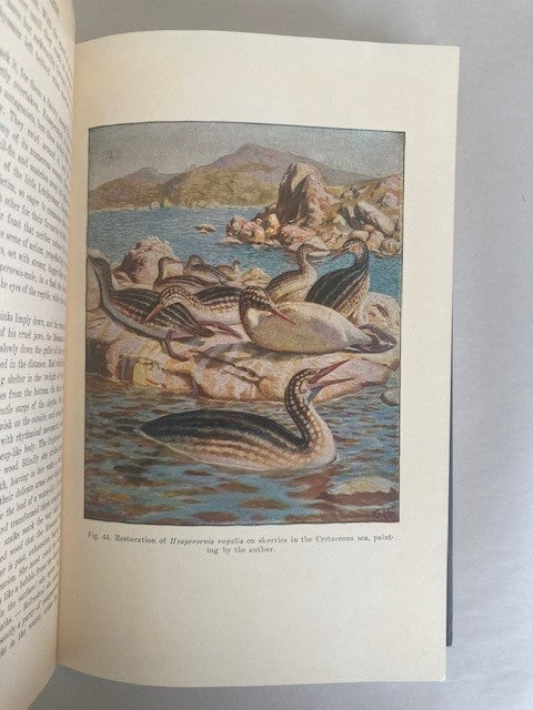 The Origin of Birds