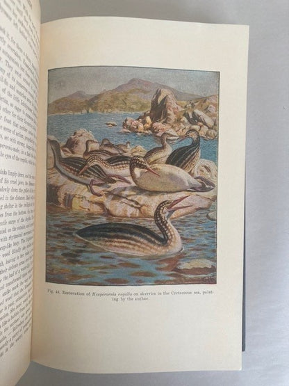 The Origin of Birds