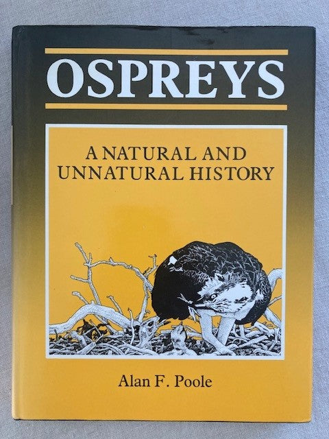 Ospreys: A Natural and Unnatural History