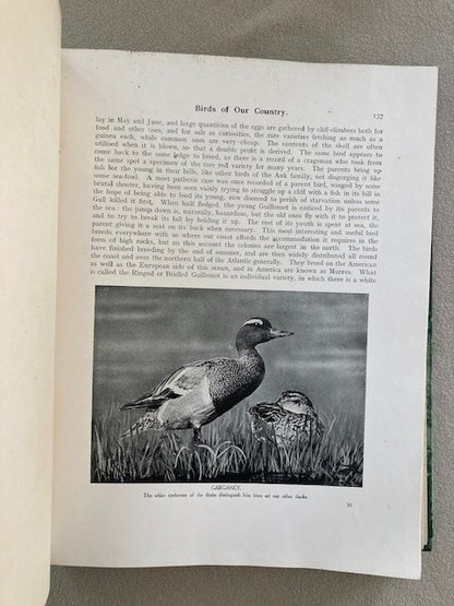 Birds of Our Country  Their Eggs, Nests. Life, Haunts and Identification. [2 Vol.]