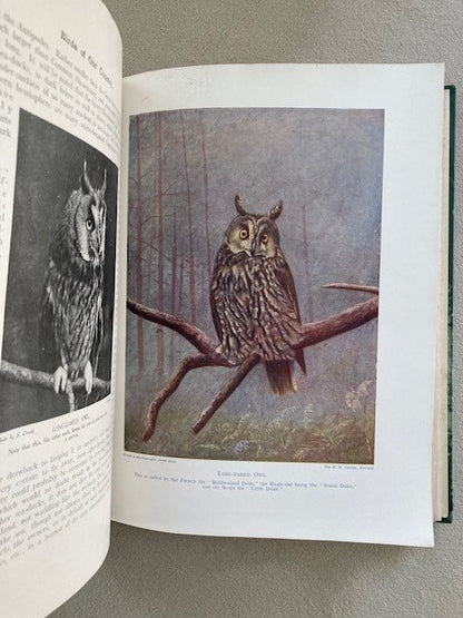 Birds of Our Country  Their Eggs, Nests. Life, Haunts and Identification. [2 Vol.]
