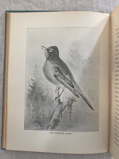 Stories of Our Western Birds