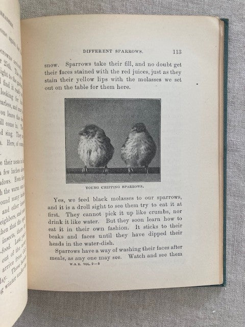 Stories of Our Western Birds