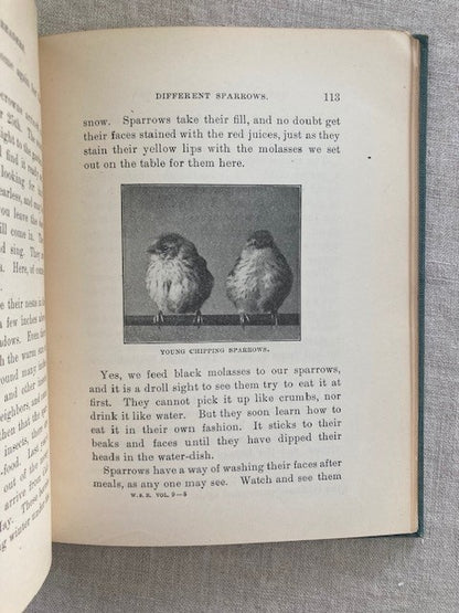 Stories of Our Western Birds