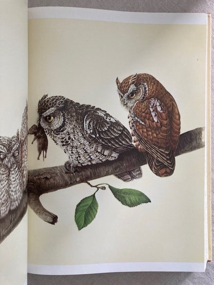 The Owls of North America: All the Species and Subspecies Illustrated in Color and Fully Described