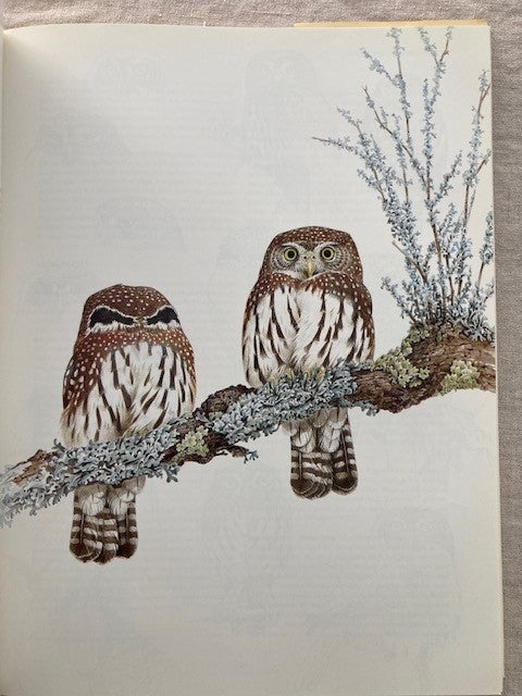Owls of the Northern Hemisphere