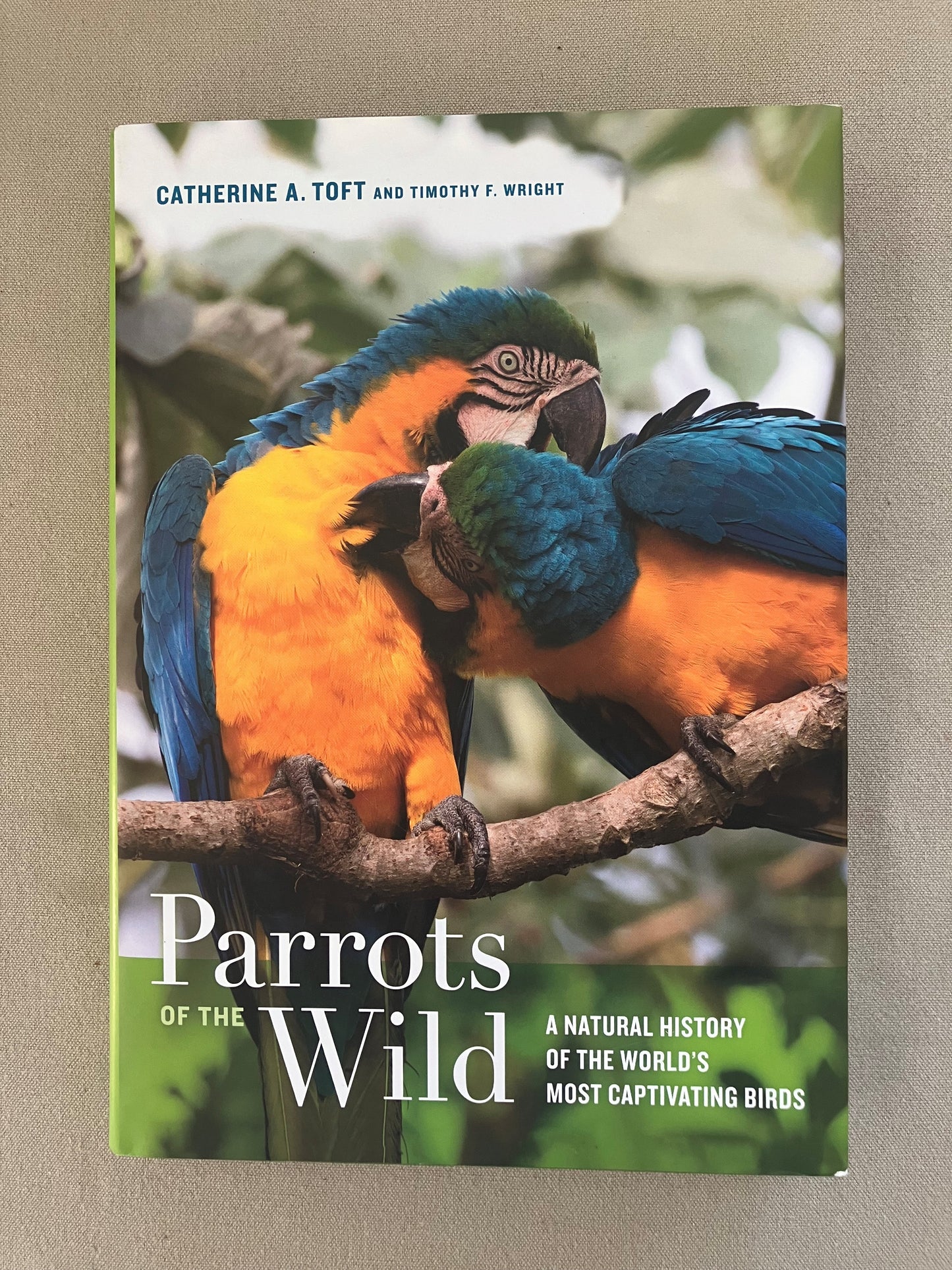 Parrots of the Wild: A Natural History of the World’s Most Captivating Birds