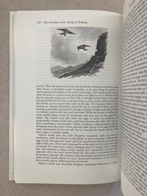 The Peregrine Falcon, First Edition