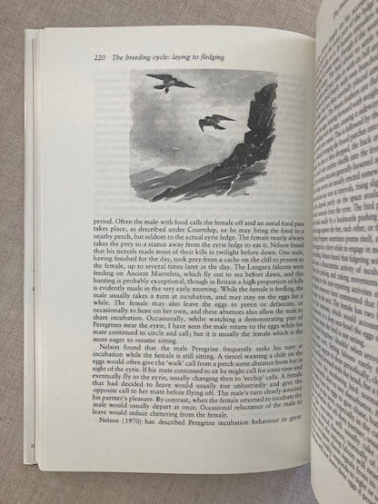 The Peregrine Falcon, First Edition