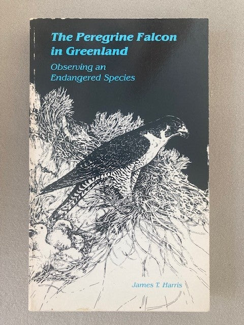Peregrine Falcon in Greenland: Observing an Endangered Species