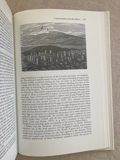 The Peregrine Falcon, First Edition