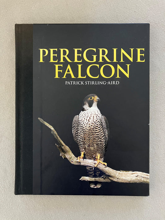 Peregrine Falcon