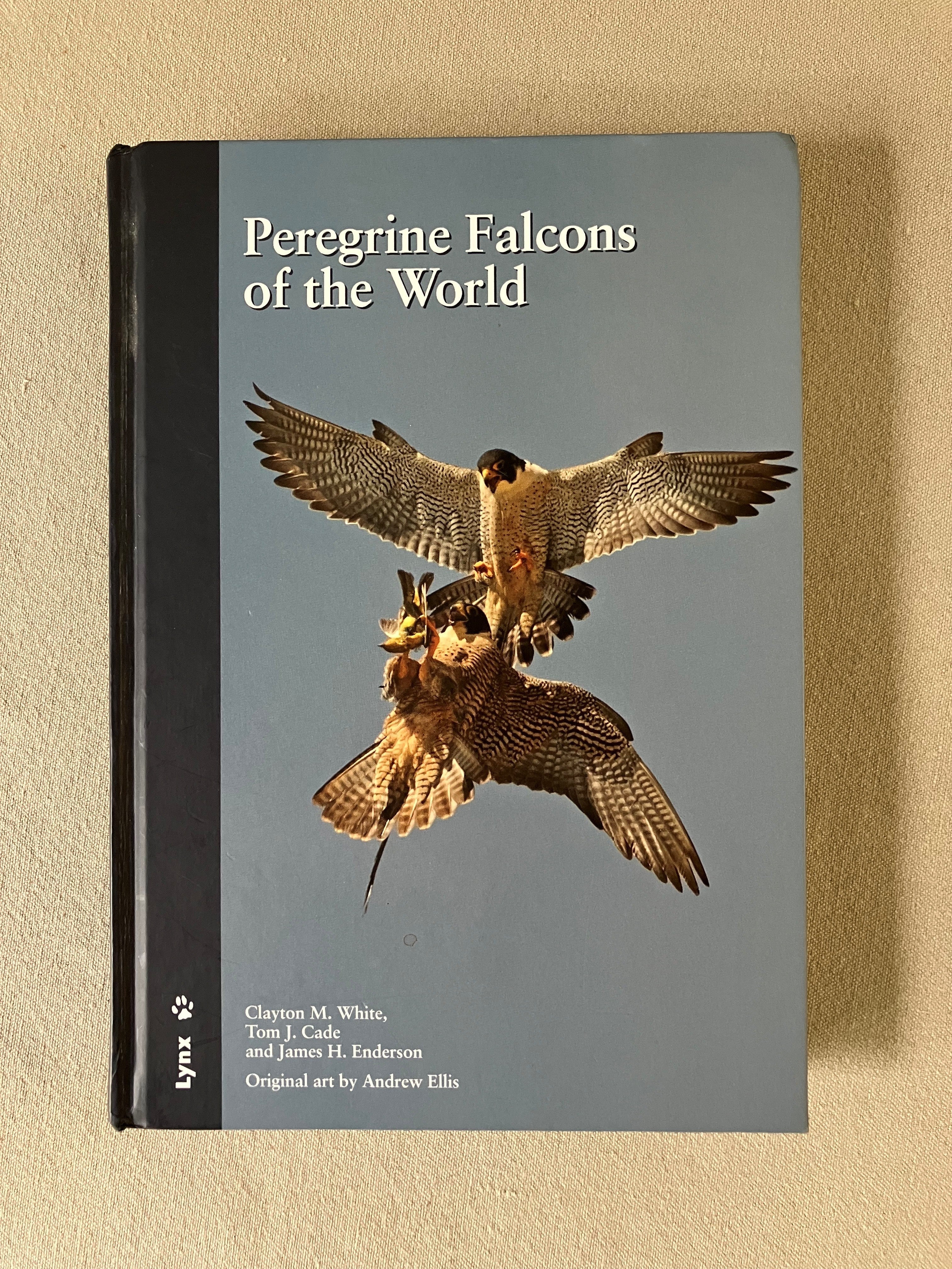 Hawks, Falcons, Eagles – Buteo Books