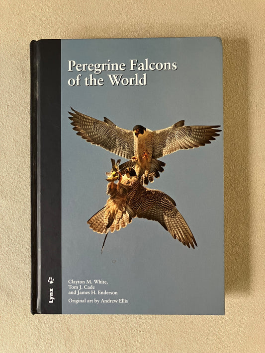 Peregrine Falcons of the World