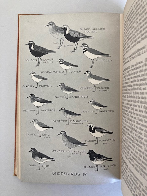 A Field Guide to Western Birds (First Edition)