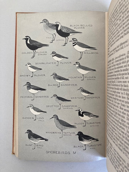 A Field Guide to Western Birds (First Edition)