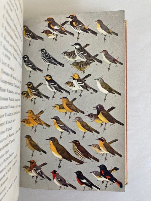 A Field Guide to Western Birds (First Edition)