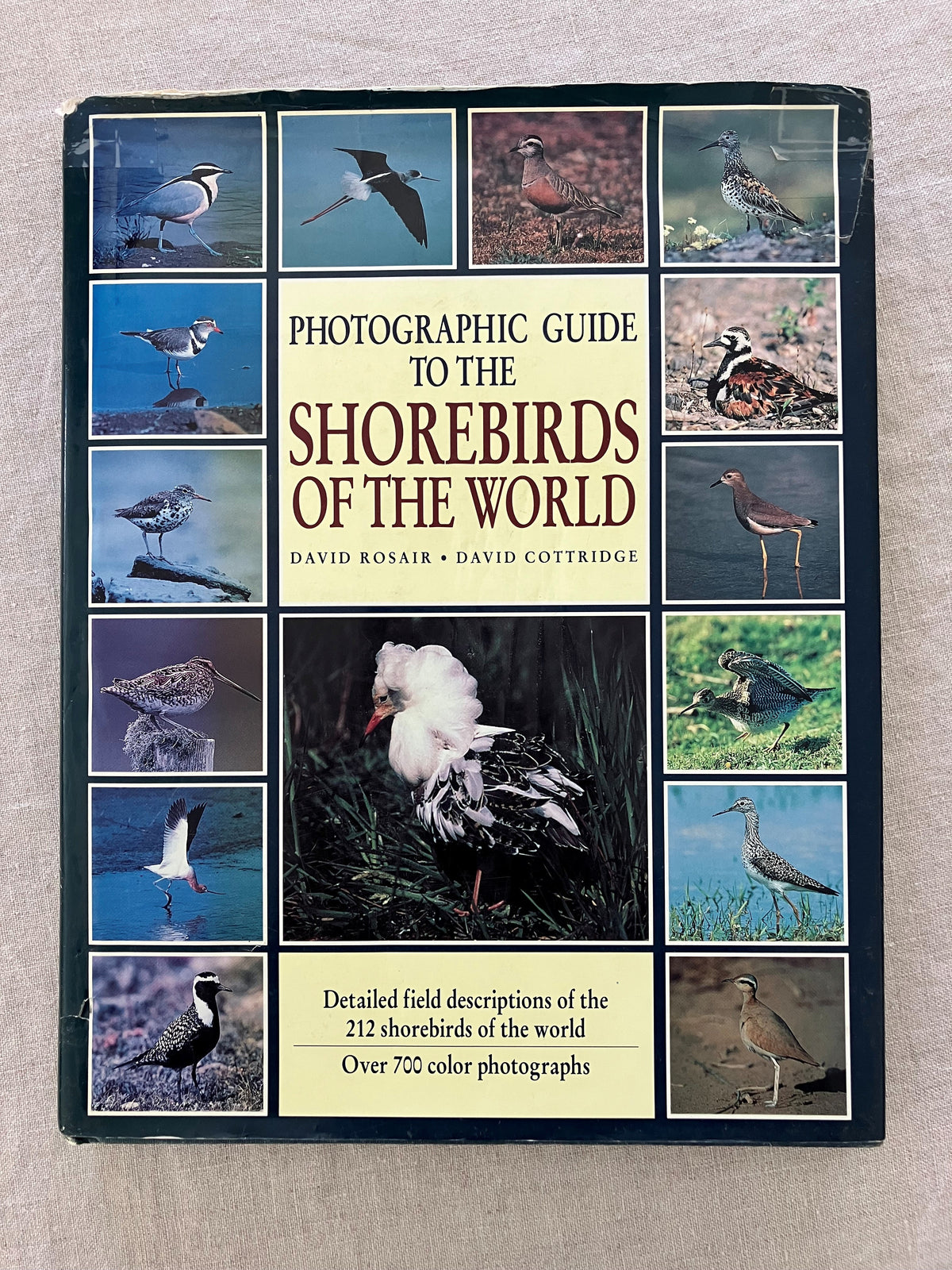 Photographic Guide to the Shorebirds of the World