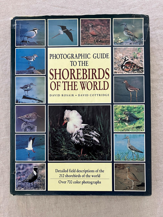 Photographic Guide to the Shorebirds of the World