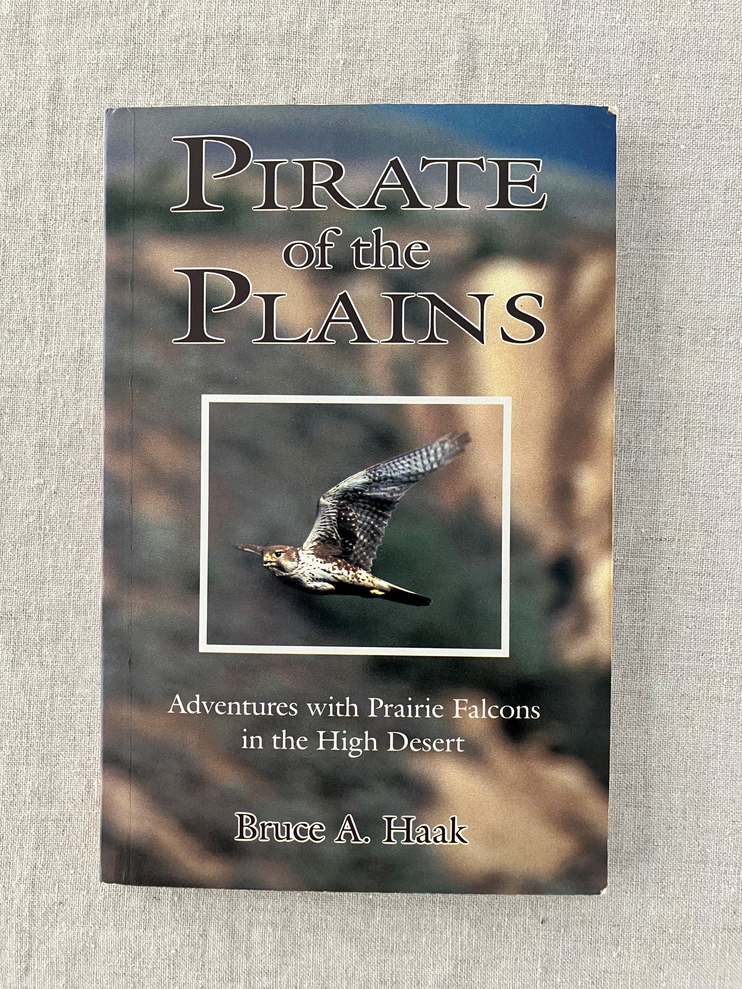 Pirate of the Plains: Adventures with Prairie Falcons in the High Desert
