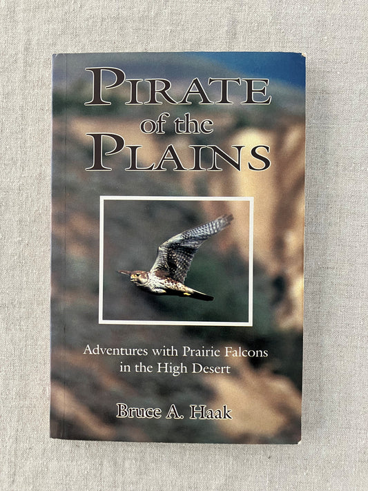 Pirate of the Plains: Adventures with Prairie Falcons in the High Desert