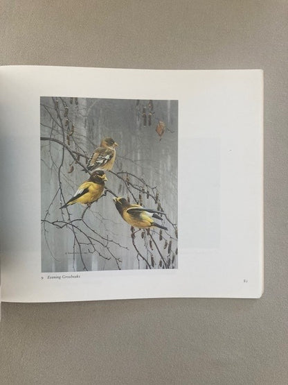 Portraits of Nature: Paintings by Robert Bateman