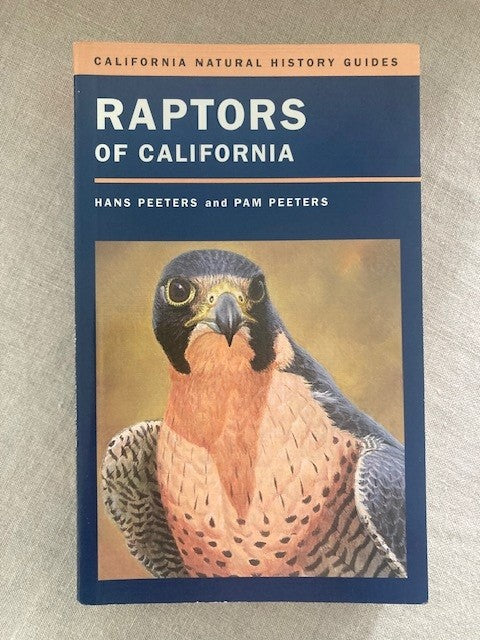 Raptors of California