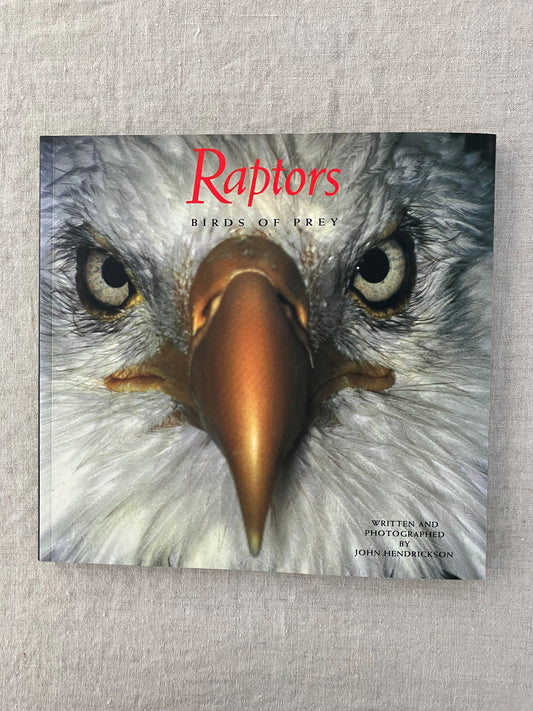 Raptors: Birds of Prey